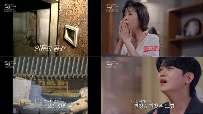 SBS 제공