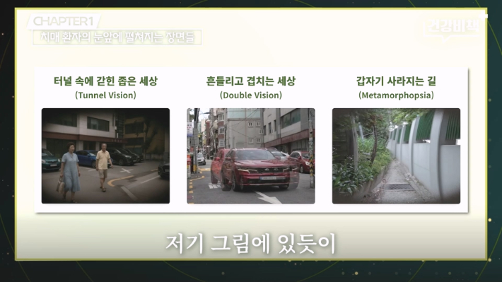 중앙대학교 의과대학 손혜주 교수 편 '건강비책' 유튜브 캡처