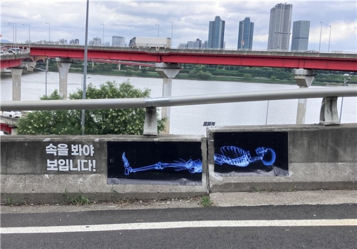 성수대교 남단 단차 균열 부위에 가로로 길게 누운 사람 인체의 엑스레이 사진 인쇄물이 붙어 있다. 이제석 광고연구소 제공