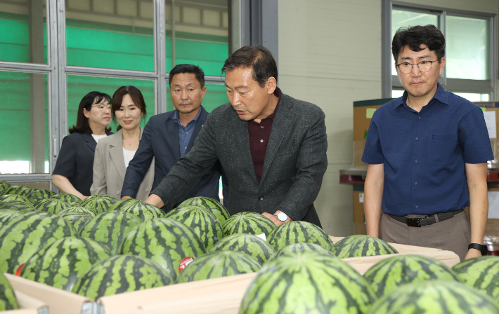 전춘성 진안군수(오른쪽 두번째)가 27일 수박선별장을 찾아 출하 상황을 점검하고 있다. 진안군 제공