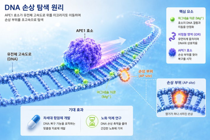 KAIST 제공