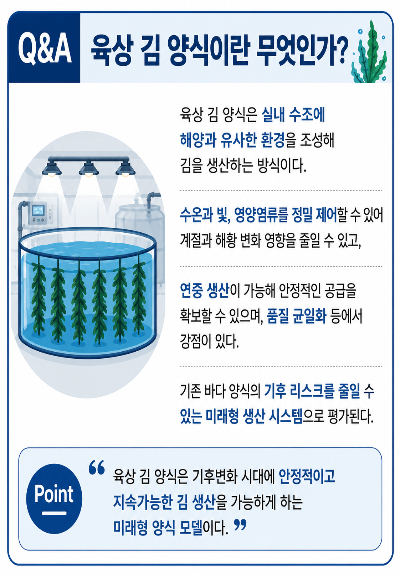육상 김 양식 설명. 김용완 객원기자