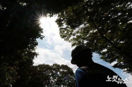 폭염이 이어지고 있는 29일 서울 남산에 뜨거운 햇빛이 내리쬐고 있다.