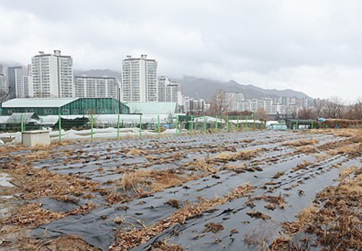 연합뉴스