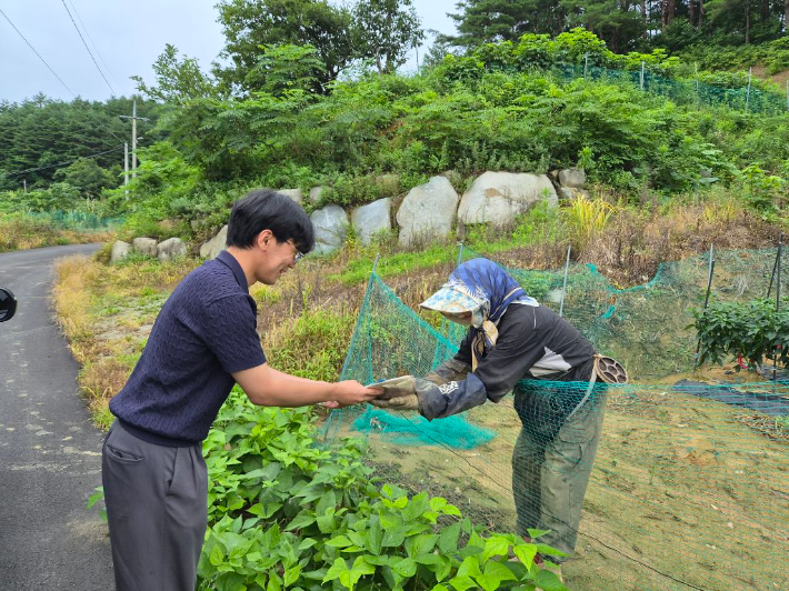 강릉시, 폭염 대응 농업인 온열질환 예방 현장점검. 강릉시 제공