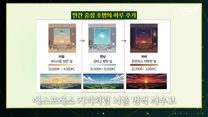 중앙대학교 의과대학 손혜주 교수 편 '건강비책' 유튜브 캡처