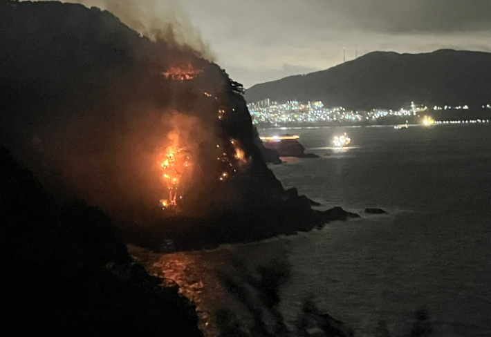 10일 부산 서구 암남공원 해안절벽에서 불이 난 모습. 부산소방재난본부 제공   