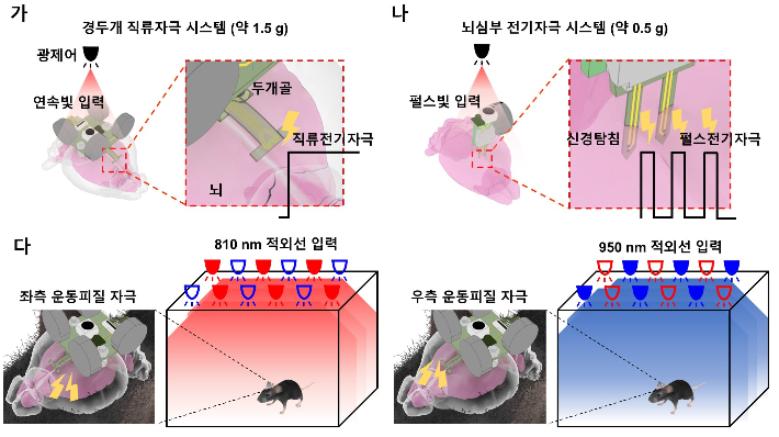 적외선 파장 선택형 초경량 무선 신경조절 시스템의 구성과 작동 원리. 한국연구재단 제공
