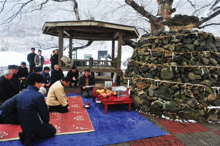 옥천군 제공
