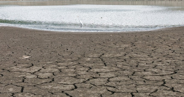 밀양시 무안면 웅동저수지. 연합뉴스  