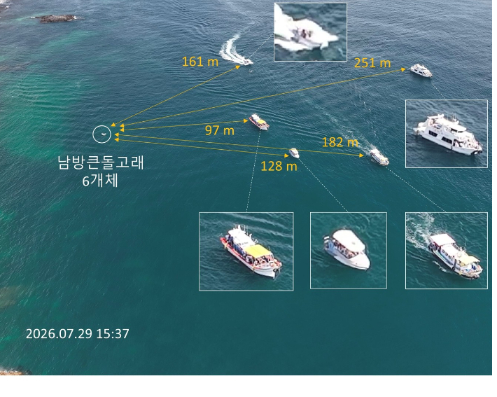 제주남방큰돌고래 관광선박 운항 실태를 조사하는 모습. 제주대학교 기초과학연구소 김창수 박사 연구팀 제공