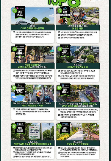 가로수 관리 TOP8. 경북도 제공