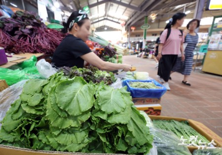 폭염에 치솟은 채솟값