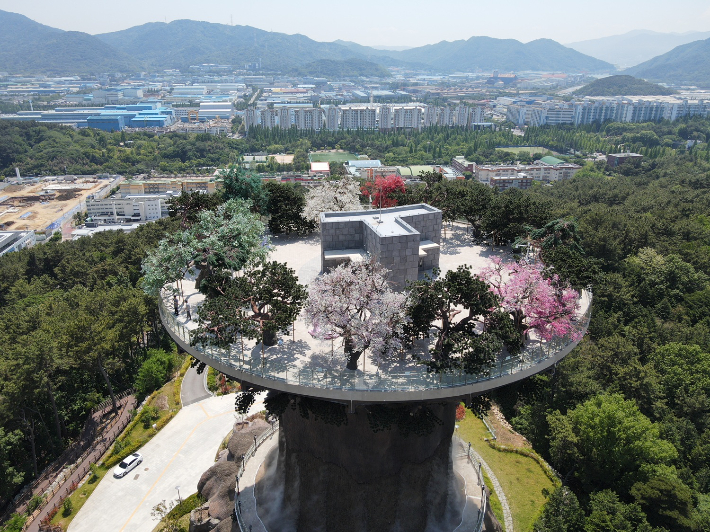 대상공원 빅트리. 창원시 제공