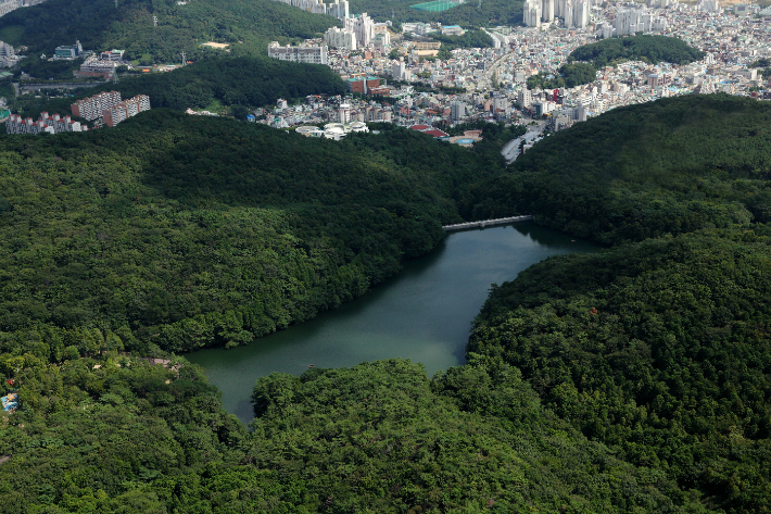 부산진구 성지곡수원지. 부산진구청 제공