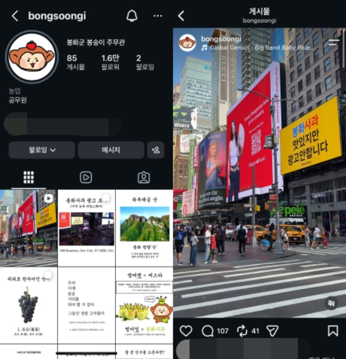 봉화군 봉숭이 주무관 인스타그램 계정. 13일부터 이틀간 진행한 미국 뉴욕 타임스스퀘어에 송출한 광고 게시글의 조회수는 14일 기준 20만회를 넘었다. 인스타그램 '@bongsoongi' 캡처