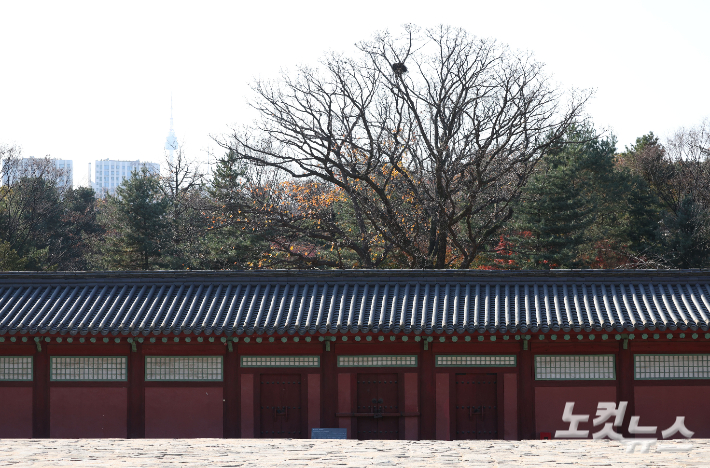 서울 종로구 종묘 정전 하월대에서 바라본 세운4구역 재개발 사업지 방향. 류영주 기자