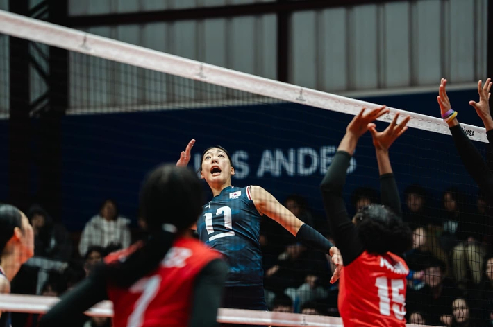 손서연. FIVB 홈페이지 캡처