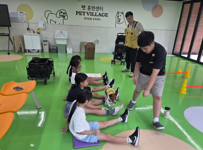 반려동물 진로체험. 창원시 제공 