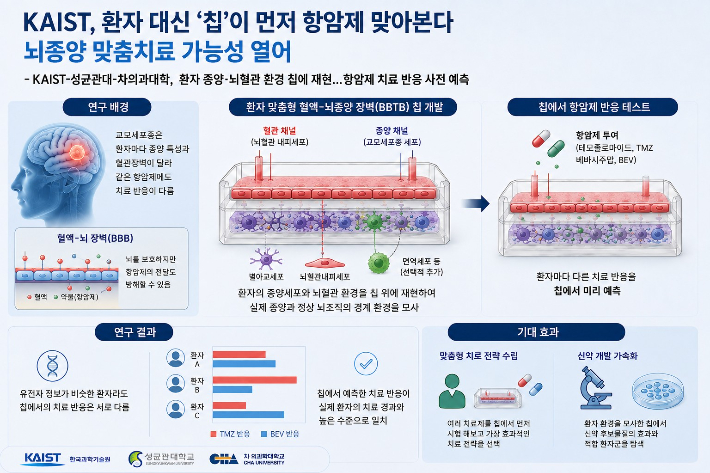 KAIST 제공