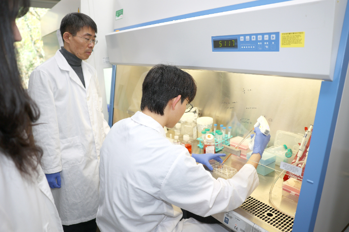울산대학교 백승훈 교수가 줄기세포(iPSC)에 배양액을 넣고 있다. 울산대 제공