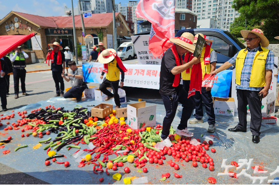 한국농업경영인강원도연합회가 18일 강원도청 앞에서 농산물 값 폭락에 대한 강원도와 정부 차원의 대책 마련을 촉구하는 기자회견을 연 가운데 농민들이 직접 키운 오이와 가지, 토마토 등 작물들을 발로 밟는 퍼포먼스를 벌이고 있다. 구본호 기자