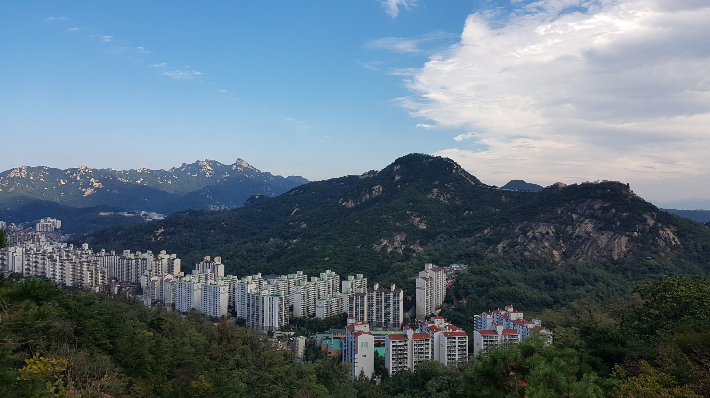 도시 숲. 국립산림과학원 제공