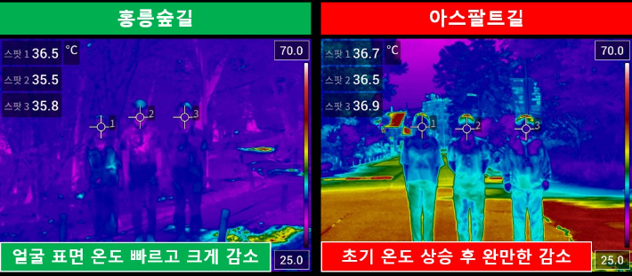 홍릉숲길과 아스팔트 도로 얼굴 표면온도 비교(열화상). 국립산림과학원 제공