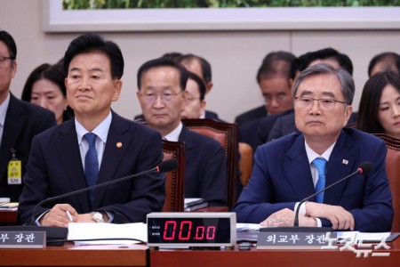 외통위 출석한 정동영 통일부 장관-조현 외교부 장관