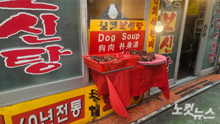 중복인 지난달 25일 서울 종로구 신진시장 보신탕골목의 한 보신탕집 외부에 나와 있는 손질된 개고기. 김창훈 수습기자