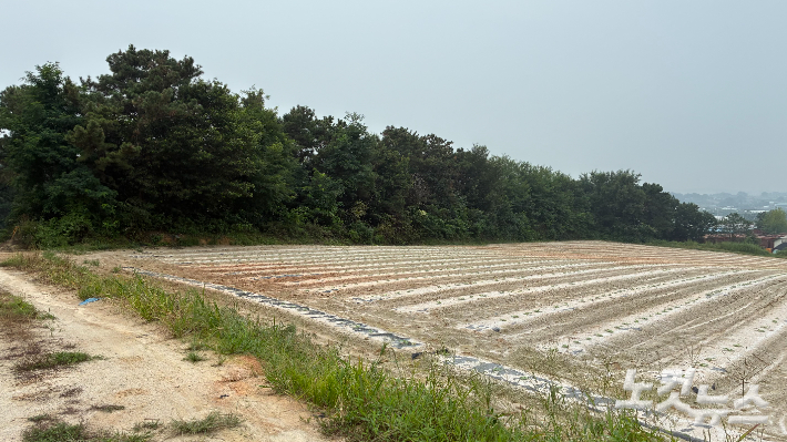 지난 7일 더위로 인한 휴식을 요청한 뒤 실종됐다 숨진채 발견된 라오스 국적 계절노동자 A(38)씨가 근무한 경기 여주시 마래리의 한 호박밭. 김수진 기자
