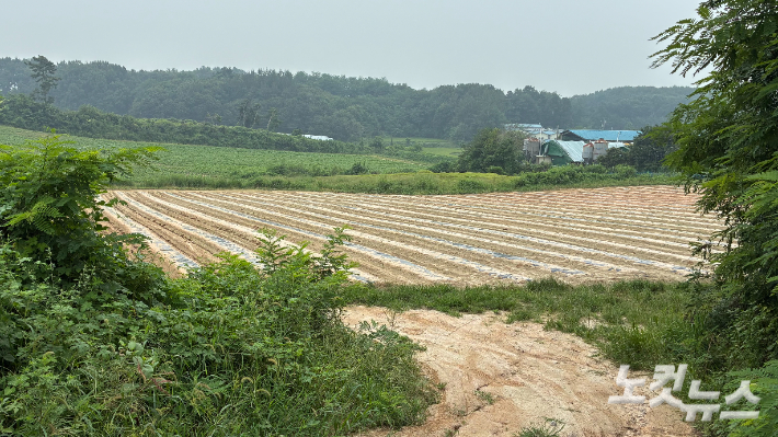 지난 7일 더위로 인한 휴식을 요청한 뒤 실종됐다 숨진채 발견된 라오스 국적 계절노동자 A(38)씨가 근무한 경기 여주시 마래리의 한 호박밭. 김수진 기자