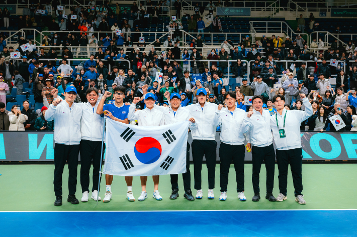한국 남자 테니스 대표팀. 대한테니스협회 