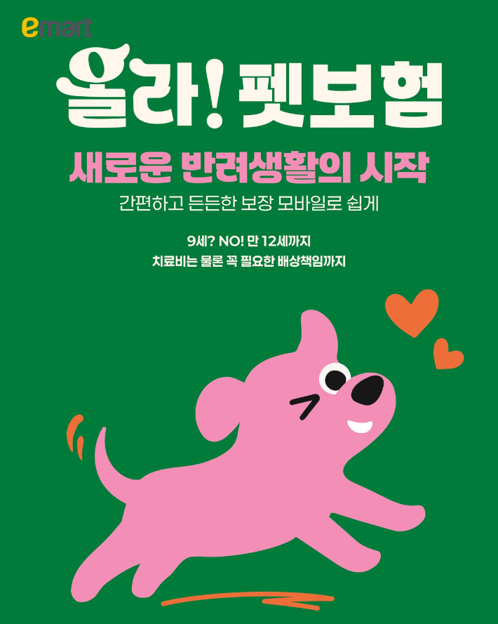 DB손해보험, 이마트와 함께  몰리스(Molly's) 전용 펫보험 '올라!펫보험' 출시. 이마트 제공 