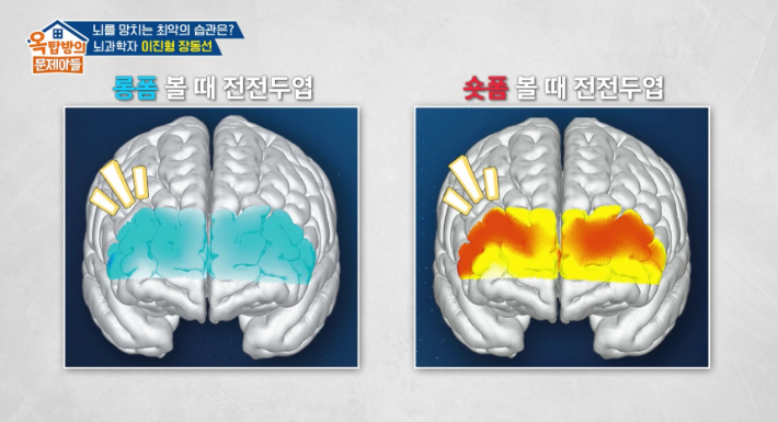KBS2 예능 '옥탑방의 문제아들' 방송 영상 캡처
