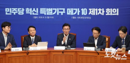 더불어민주당 메가성장 특별위원회 1차 회의