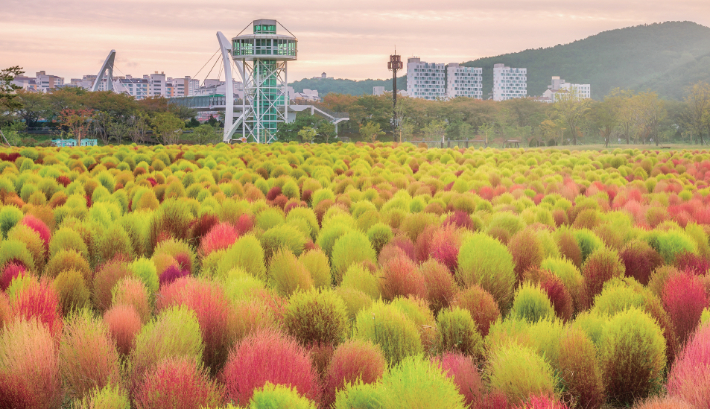 양산 황산공원. 경남도청 제공 