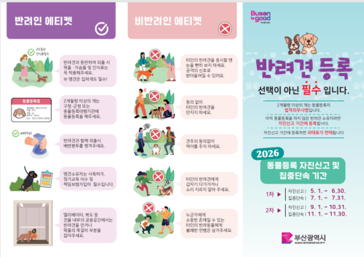부산시 제공