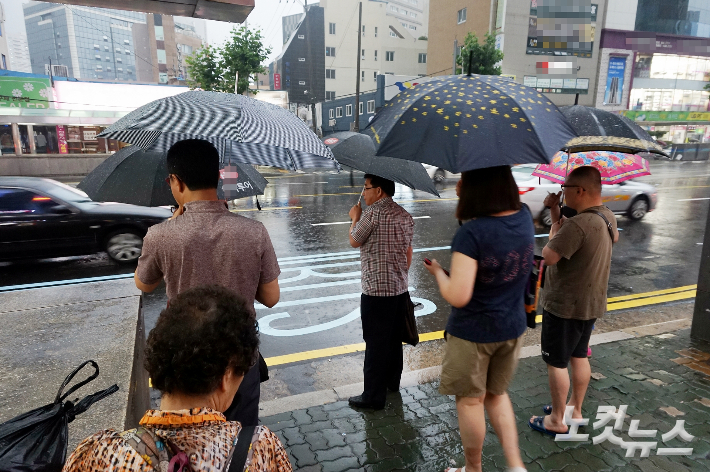 송호재 기자