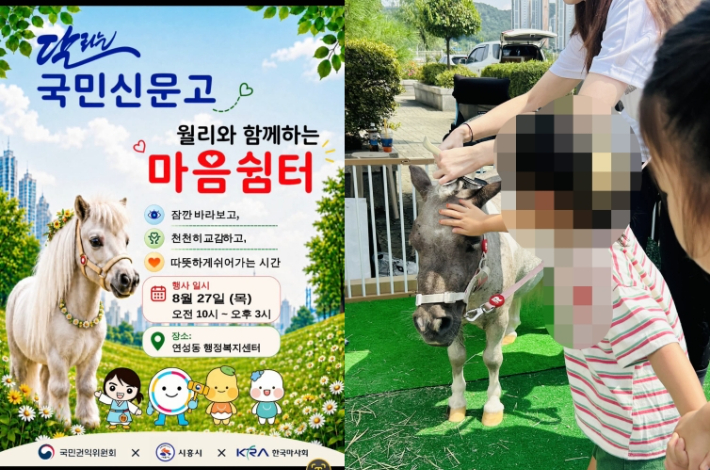 말 만지며 상담 전 '힐링'?…국민신문고 '마음쉼터' 적절했나[뉴스럽다]