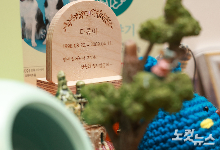 2일 서울 강남구 펫로스 심리상담센터 '안녕'에서 조지훈 원장이 CBS노컷뉴스와 인터뷰를 갖고 있다. 류영주 기자