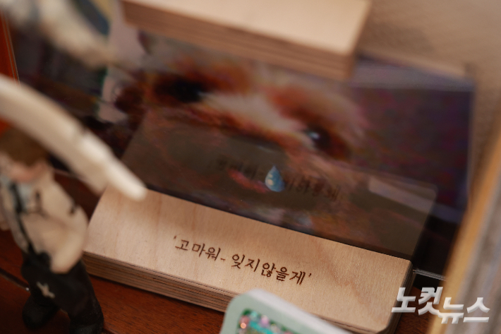 2일 서울 강남구 펫로스 심리상담센터 '안녕'에서 조지훈 원장이 CBS노컷뉴스와 인터뷰를 갖고 있다. 류영주 기자