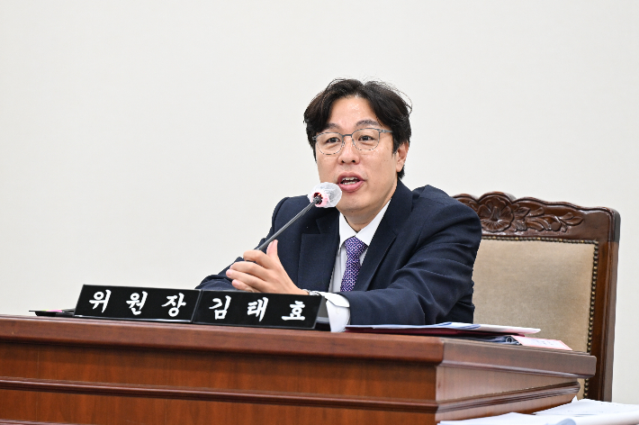 김태효 부산시의회 기획재경위원장. 부산시의회 제공