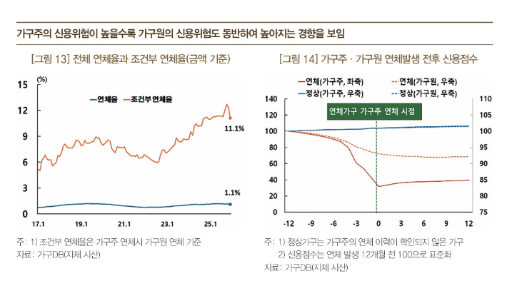 'BOK 이슈노트 : 가구DB를 이용한 가계부채 리스크 평가' 캡처