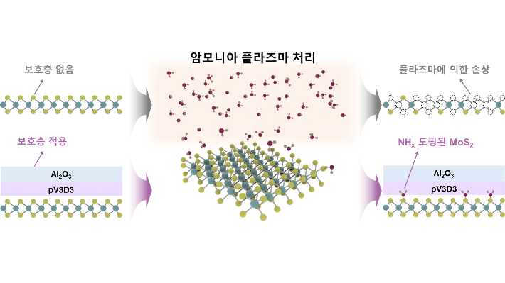 초박막 보호층을 이용한 손상 없는 2차원 반도체 플라즈마 도핑. 한국연구재단 제공
