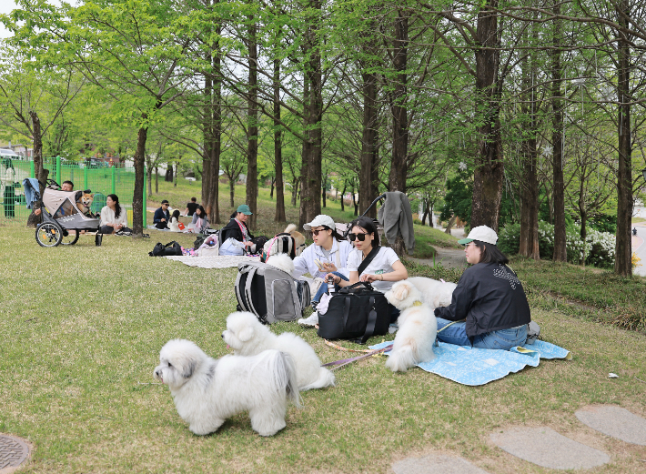 전북 임실군은 지난 5일 반려견을 동반한 관광객 20팀을 대상으로 '반려동물 동반 펫투어'를 운영했다. 임실군 제공
