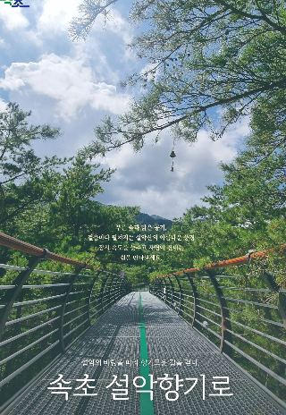 속초 설악향기로. 속초시 제공