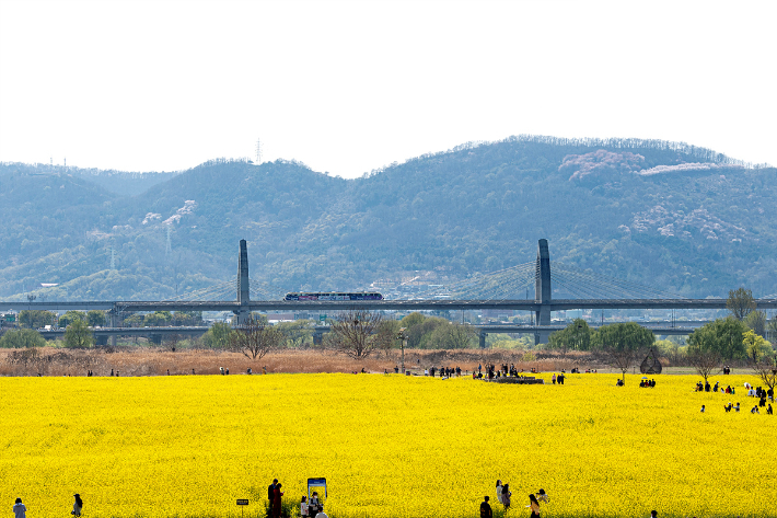 대구 북구 하중도. 대구시 제공