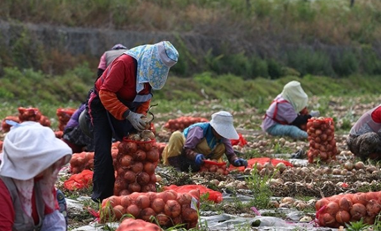 농림축산식품부 제공