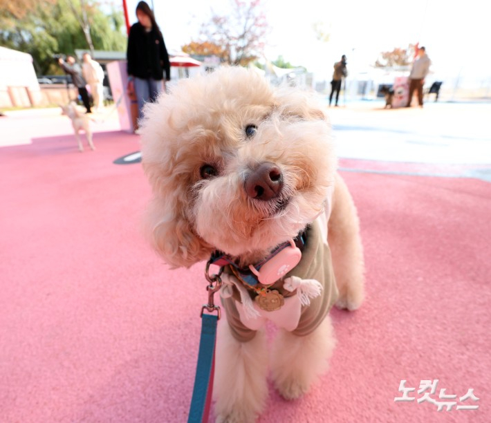 황진환 기자